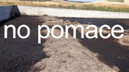 no pomace